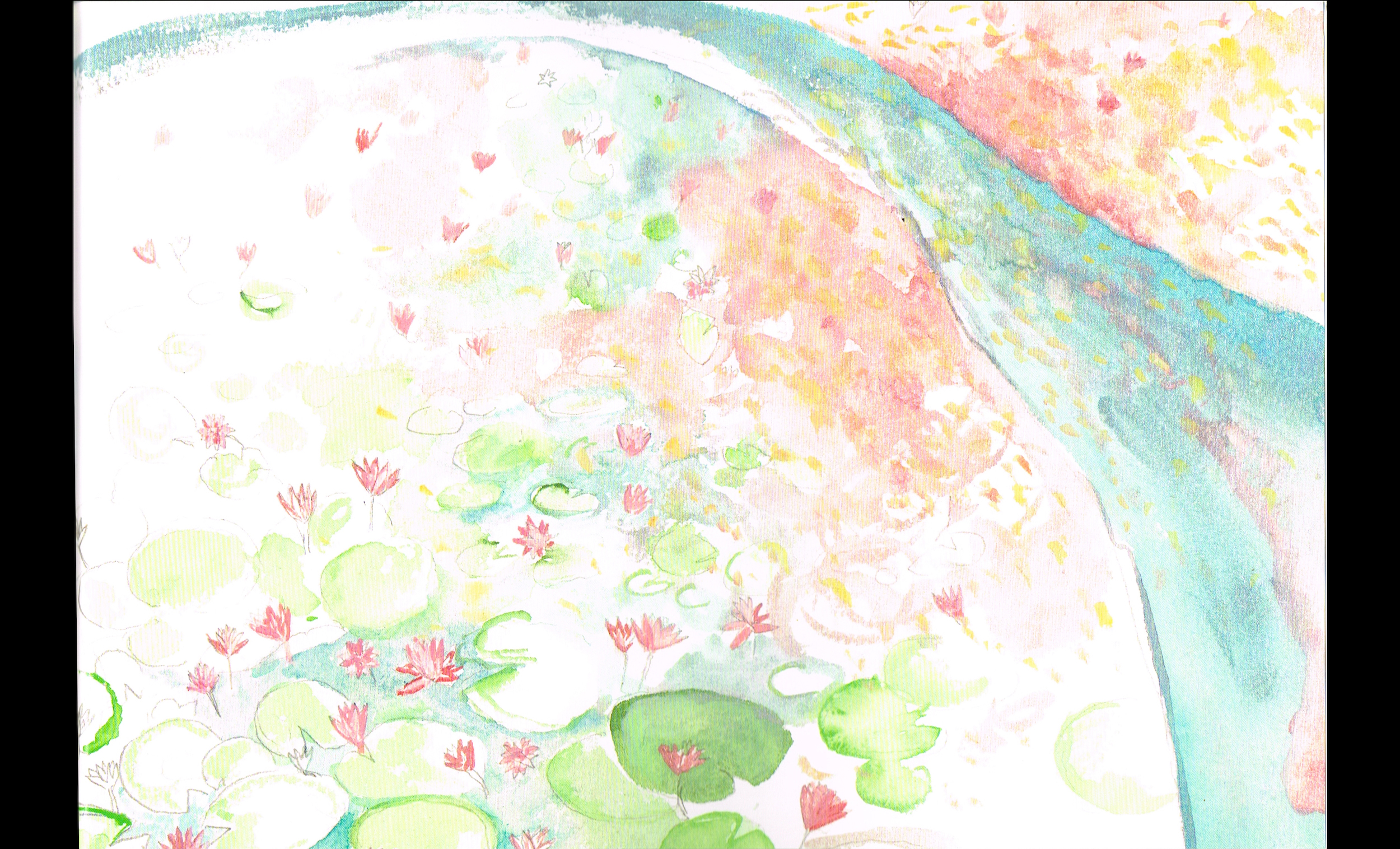 The Vanishing Elephant Book