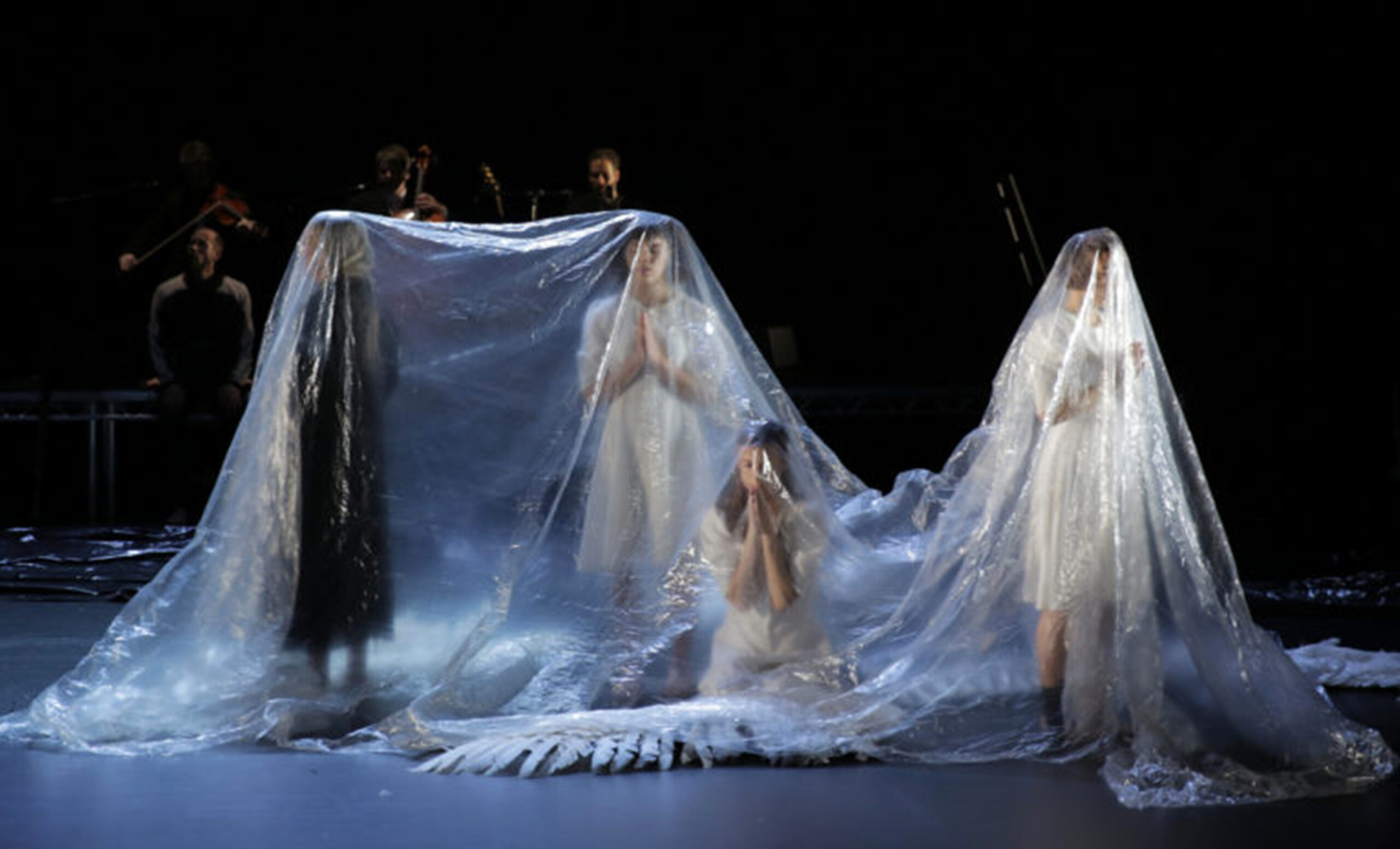 SWAN LAKE/ LOCH na hEala