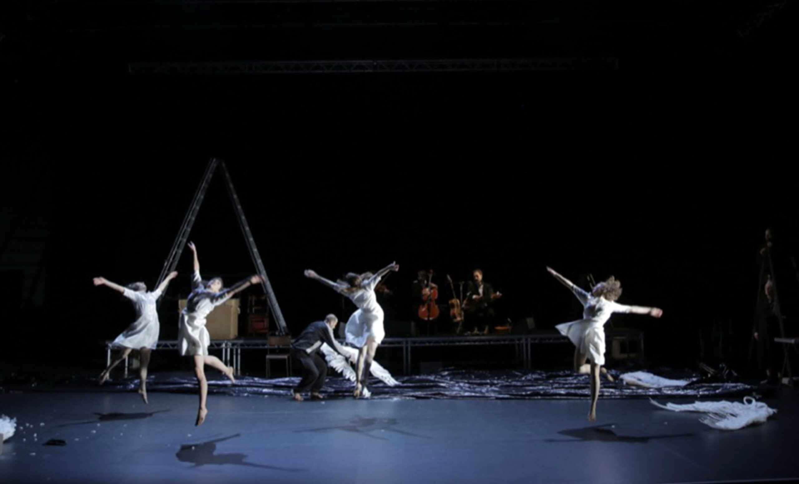 SWAN LAKE/ LOCH na hEala